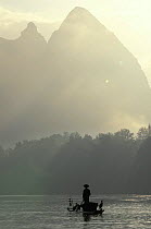 Fisherman with trained cormorants {Phalacrocorax carbo} in mist, Li river, Guangxi, China