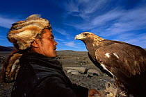 Kazakh nomad wearing fox fur hat with Golden eagle {Aquila chrysaetos} used for hunting foxes, Tsengel, Western Mongolia. 2001