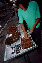 Street vendor sells roasted scorpions, crickets, grubs and frogs, Bangkok, Thailand