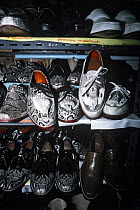 Burmese python and Monocled cobra skin shoes for tourist trade, Bangkok, Thailand