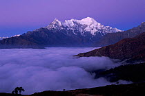 Langtang ridge at dawn seen from Laurebina Yak (4000metres) Langtang NP, Nepal