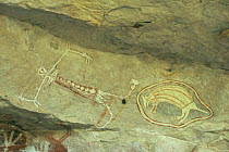 Aboriginal rock art of lady and animal (kangaroo or armadillo?) Mt Borradaile, Arnhem Land, Northern Territory, Australia