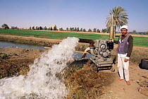 Irrigation Pump worker Egypt, Middle East