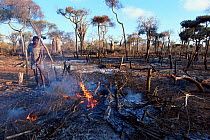 Slash and burn forest clearance for agriculture in Spiny forest, Ifaty, SW Madagascar