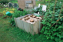 Compost heap in allotment garden, Devon, UK