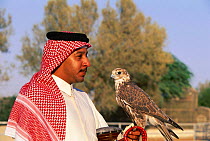 Falconer with bird Al Areen Park, Manama, Bahrain
