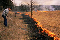 Controlled burning of native prairie, land management practice, Wisconsin, USA