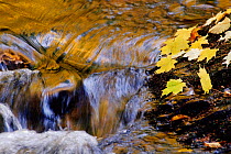 Autumn stream waterfall with reflections, Michigan, USA