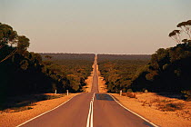 Eyre highway, straight road vanishing into horizon nr Balladonia Roadhouse, Nullarbor, W Australia