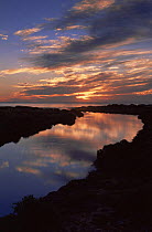 Sunset over Yardie creek and Ningaloo reef, Cape Range NP, Western Australia