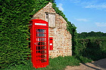TTraditional red Telephone box and letter box, Norfolk, UK