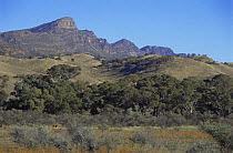 The Wilpena Range seen from Arkaba plain, Flinders Mountain Range, South Australia
