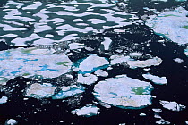 Aerial view of sea ice breaking up in late Spring, Lancaster Sound, Canada Arctic