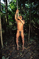 Huaorani indian hunting with blow pipe and curare, Yasuni NP, Ecuador
