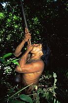 Huaorani indian hunting with blow pipe and curare, Yasuni NP, Ecuador