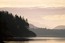 Misty morning dawn in Johnstone Strait, Vancouver Island, British Columbia, Canada