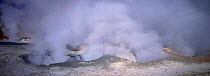 Sol de Manana fumeroles geothermal activity at 4850 metres Altiplano, SW Bolivia