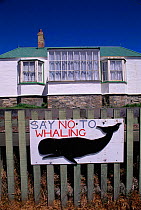 Anti whaling sign outside house. Port Stanley,  East Falkland Islands