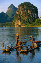 Fishermen with trained Cormorants {Phalacrocorax carbo} Li river, Guangxi, China