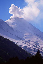 Llaima volcano smoking, Conguillo NP, Southern Chile