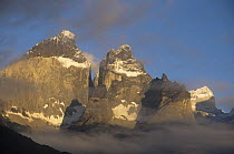 Paine mountain range at dawn, Torres del Paine NP, Southern Chile