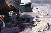 Cameraman Kevin Flay filming lizard in Salar de Atacama,  Chile for BBC series Andes to Amazon