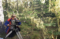 Alastair MacEwen filming Old man's beard on trees Nahuelbuta, for BBC series Andes to Amazon
