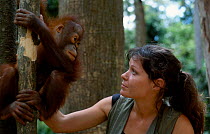 Charlotte Uhlenbroek with Orang utan {Pongo pygmaeus} Borneo Indonesia, on location for BBC tv series COUSINS, 2000