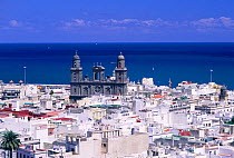 Palmas city with cathedral Gran Canaria, Canary Islands, Spain