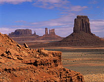 Monument Valley landscape with sandstone monoliths, Navajo Tribal Park, Utah, USA