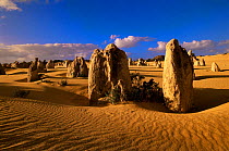 The Pinnacles, remnant columns in an eroded limestone plateau, Nambung National Park, Western Australia