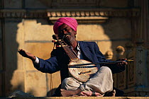 Folksinger playing stringed musical instrument, Jaisalmer, Rajasthan, India