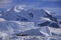 Sailing boat (The Golden Fleece) in ice Antarctica summer