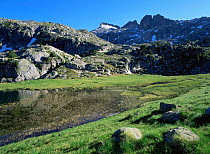 Highland habitat of Aran valley, Colomers cirque, Pyrenees, Catalonia, Spain
