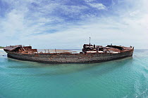 Wreck forms breakwater at harbour. Heron Island, Great Barrier Reef, QLD, Australia