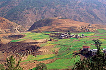 Village with terraced fields Punakha valley, Bhutan