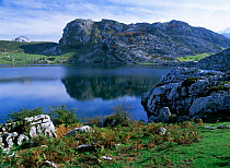 Enol lake, Picos de Europa national park, Cantabrian mountains, Asturias, Spain