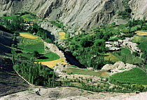 Looking down on village and terraced fields in valley, Hindu Kush, Pakistan