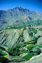 Village and terraced fields Hindu Kush, Pakistan