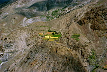 Terraced fields on patch of flat land in Hindu Kush mountains. Pakistan