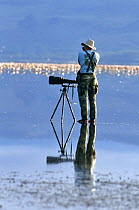 Tourist taking photographs on Lake Nakuru, Lake Nakuru NP, Kenya, East Africa