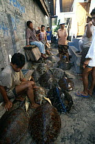 People with dead Sea turtles, stored for offerings and to keep away monkeys, Bali, Indonesia.