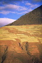 Cultivated fields landscape above eroded hillsides (part of erosion due to deforestation of hillsides to make way for crops), Urubamba Valley, Peru, South America