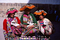 Native Inca children in traditional clothing with baby goats, Cusco, Peru, South America