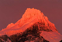 Cerro Paine Grande peak at sunrise, Torres del Paine NP, Paragonia, Chile