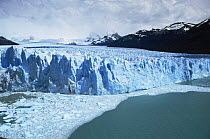Coastal edge of Perito Moreno glacier, Patagonia, Argentina 2002