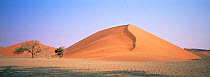 Sand dunes, Sossusvlei, Namibia, Southern Africa