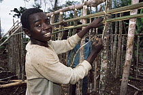 Bantu villager constructing house from forest materials, Epulu Ituri NR, Congo