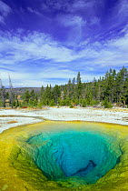 Morning glory pool, Old Faithful geyser, Yellowstone NP, Wyoming, USA