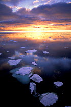 Sunset over Antarctic waters with floating ice, Antarctica